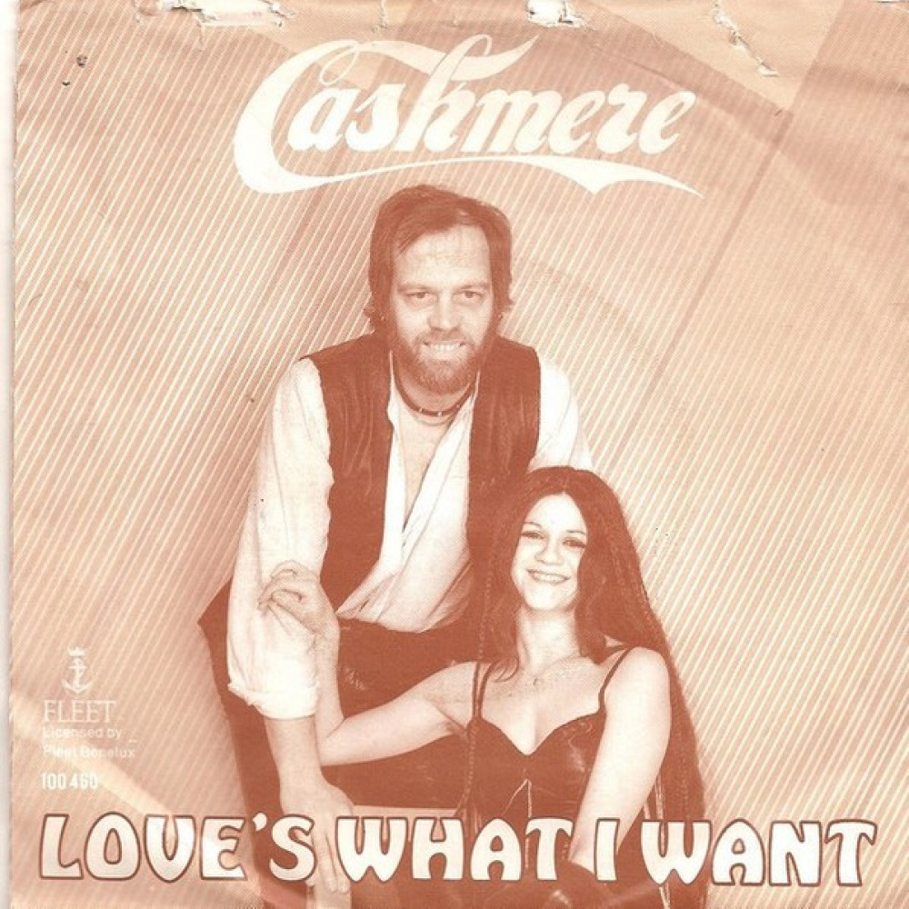 Love's what i want. Love's what i want кашемир. Cashmere группа 1980 Википедия. What i want песня. Cashmere - Love's what i want (12'').mp3.